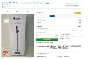 screenshot of john pye listing in auction