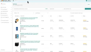 zonguru screenshot